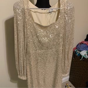 BNWT beautiful champagne sequined dress